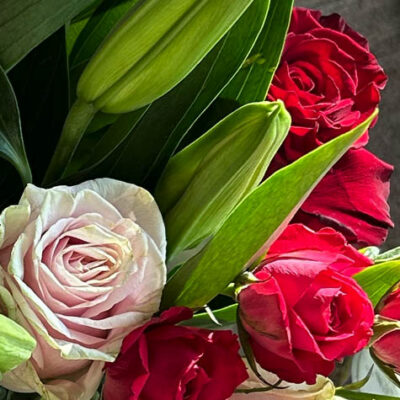gallery_021 Roses